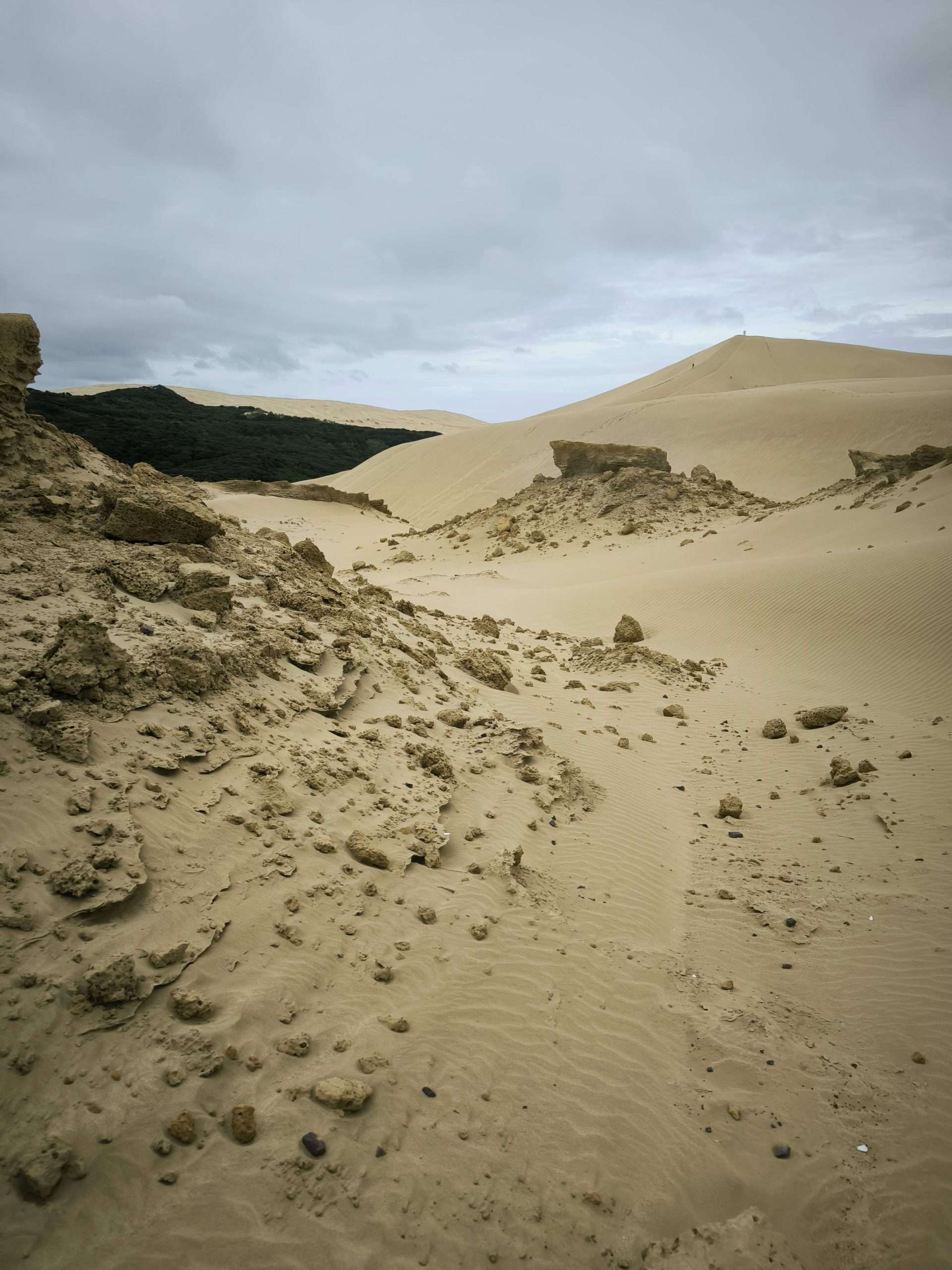 Dunas gigantes, Te Paki, Isla Norte de Nueva Zelanda