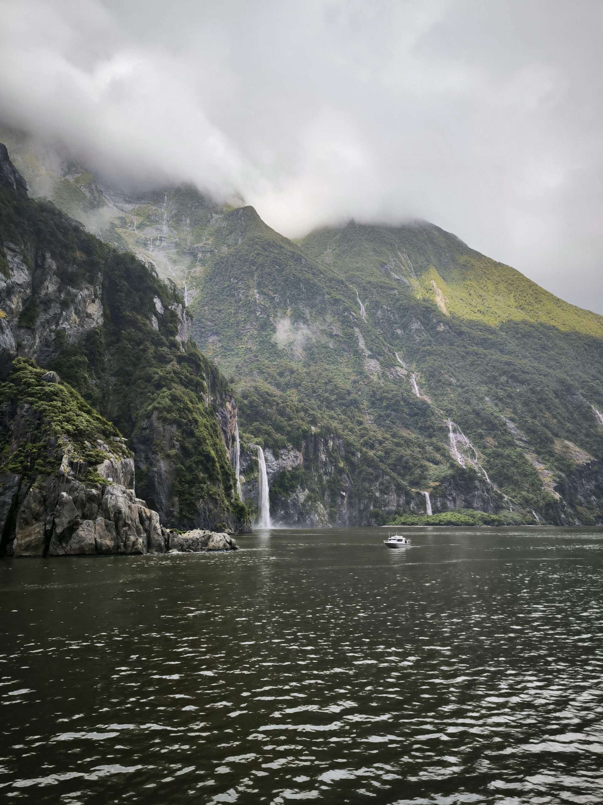 Milford Sound, Fiordland National Park (Fiordos), Isla Sur de Nueva Zelanda 