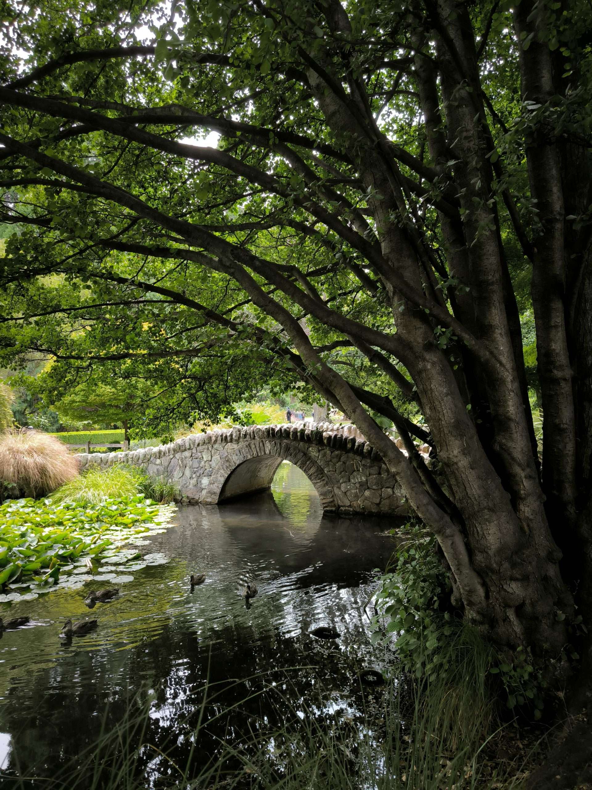 Queenstown Garden, Isla Sur de Nueva Zelanda 