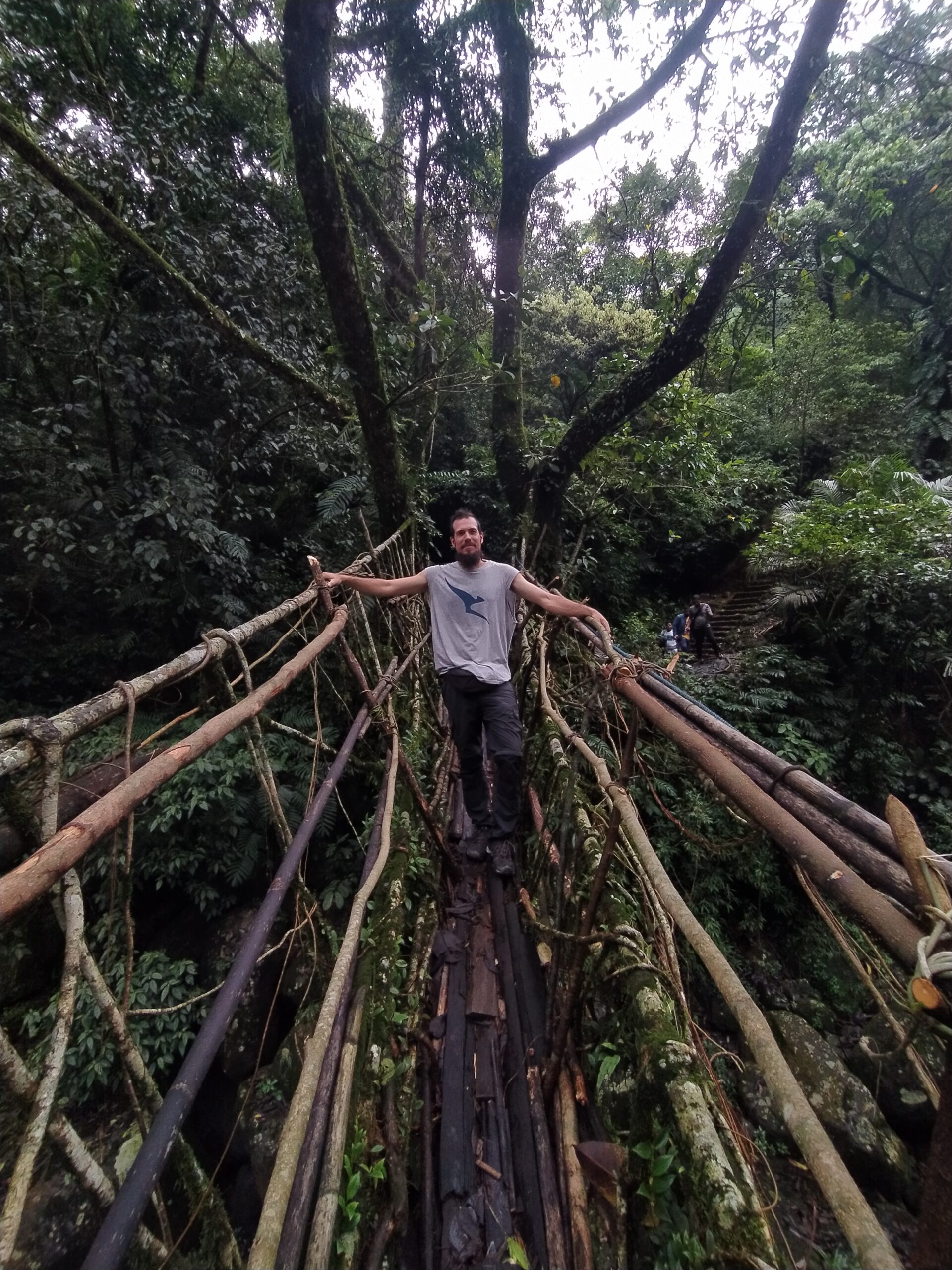 Cruzando el puente arból