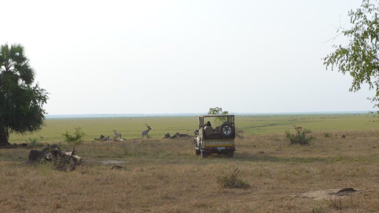 parque nacional de gorongosa