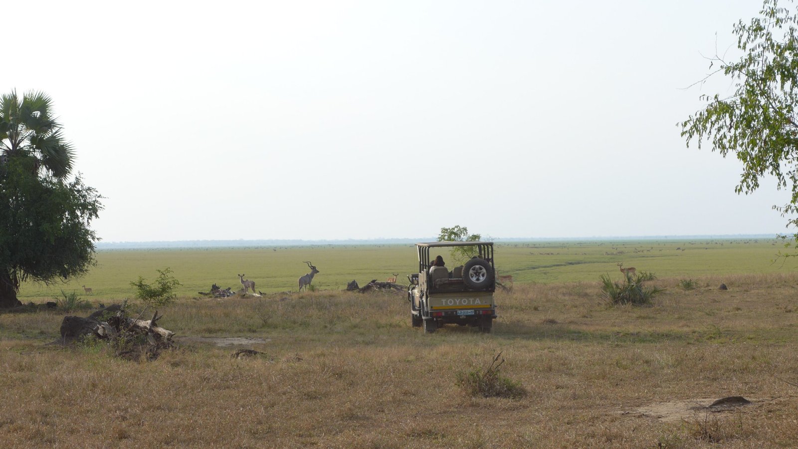 parque nacional de gorongosa