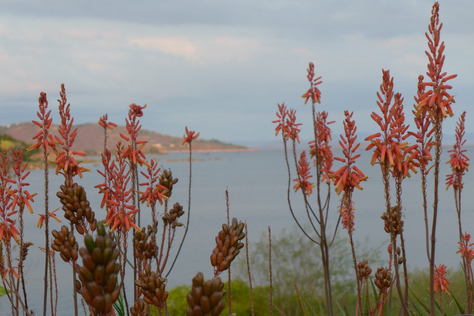 Lago Kariba, que ver en Zambia