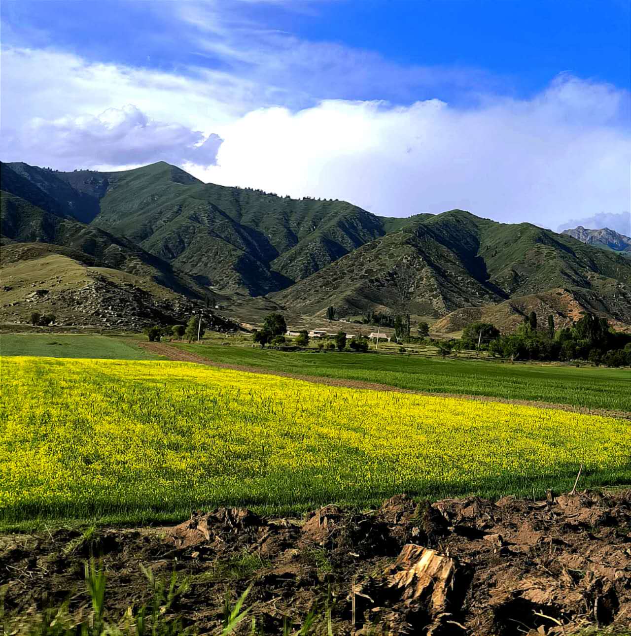 Vistas en los alrededores del Lago Issyk-kul