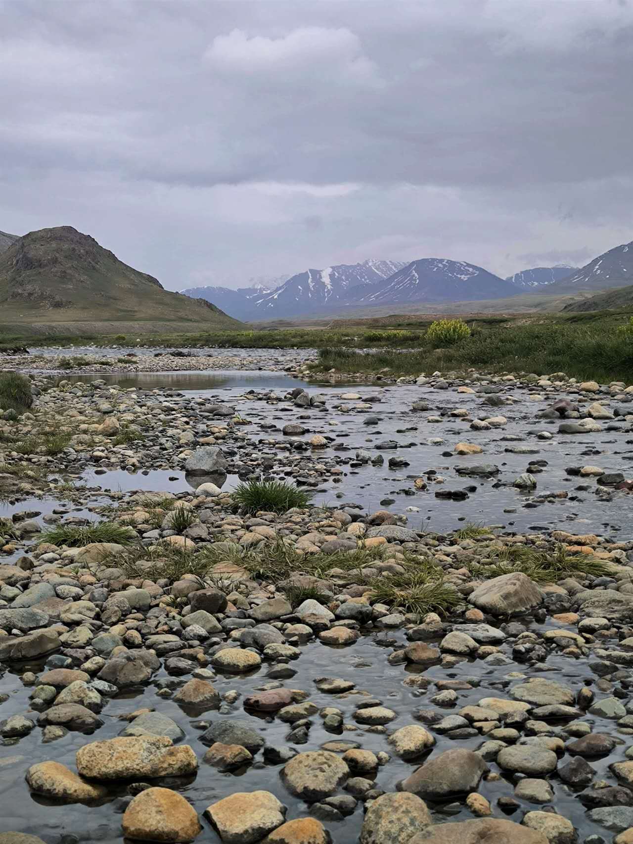 Deosai national park