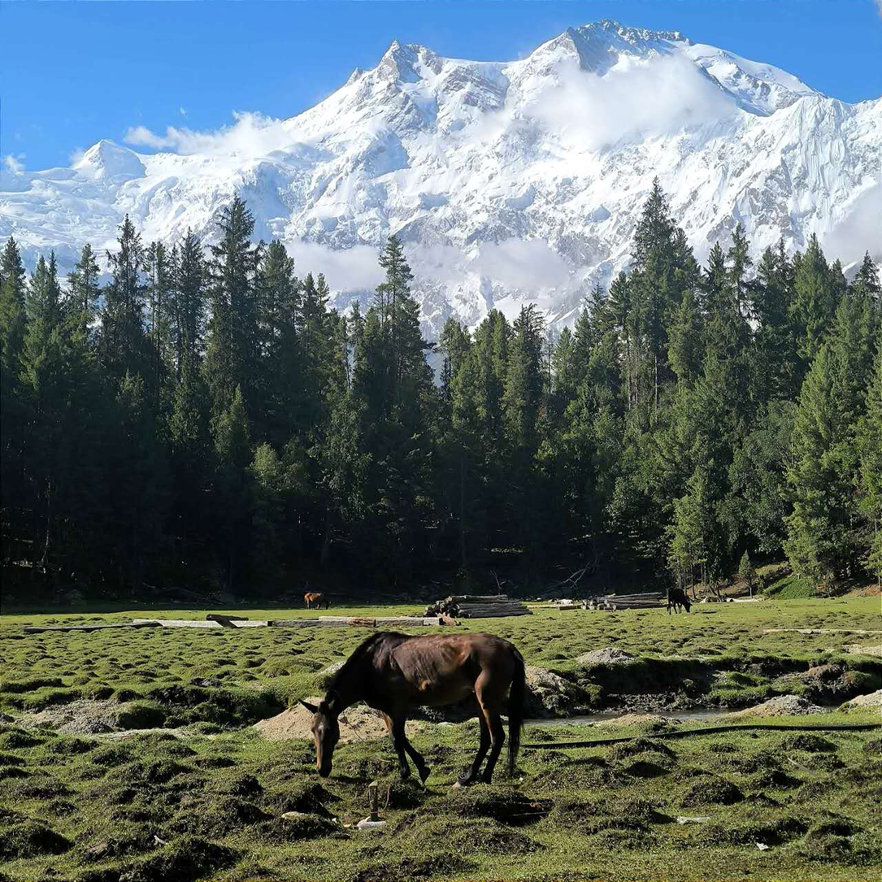 Vistas Fairy Meadows Cottage